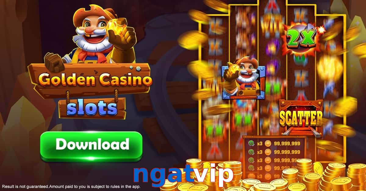 ngatvip