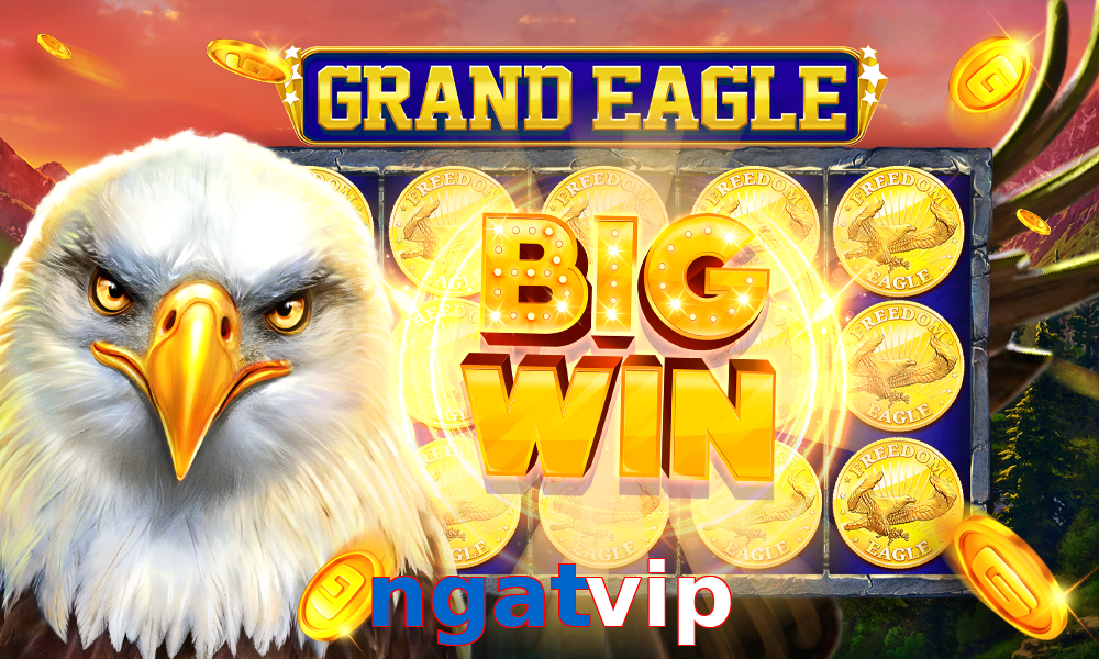 ngatvip