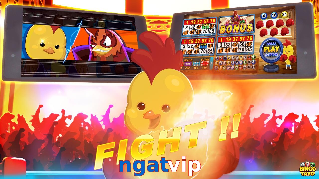 ngatvip