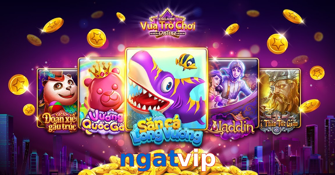 ngatvip