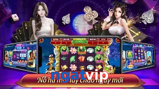 ngatvip